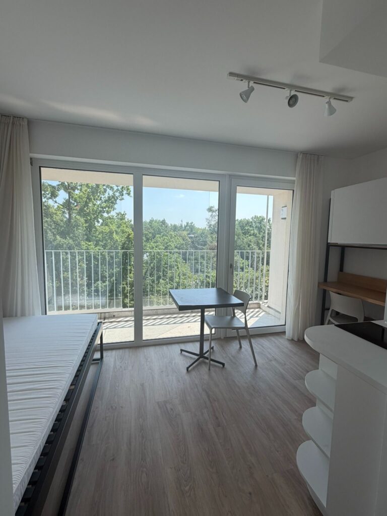 Wohnzimmer_01.JPEG